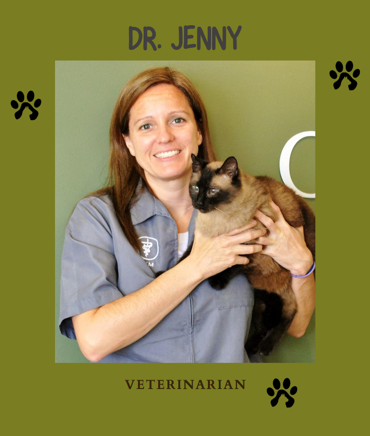 Dr. Jennifer Ivankovig, DVM | Animal House of Chicago